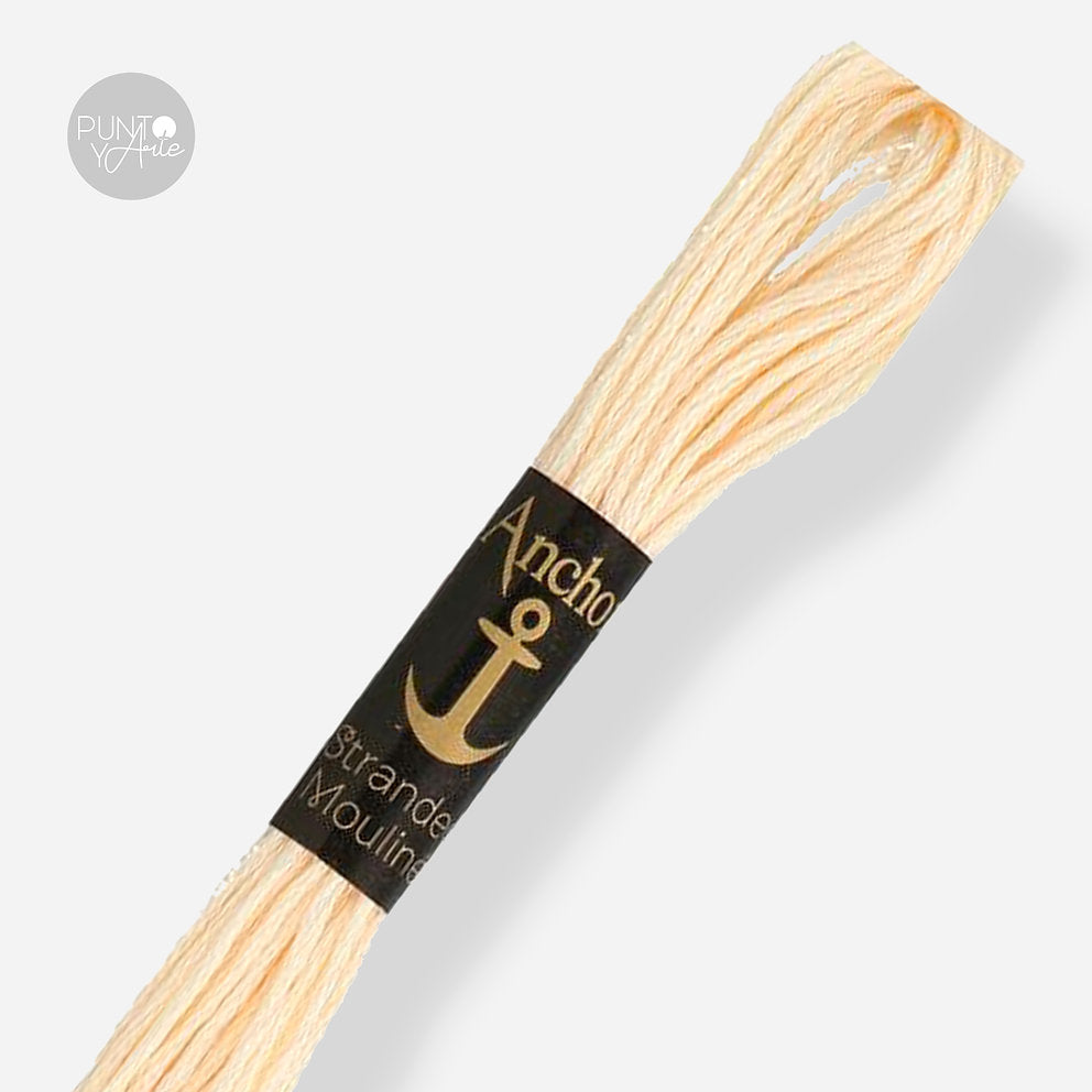 1009 Anchor Stranded Mouliné: Quality and Color for Your Embroidery