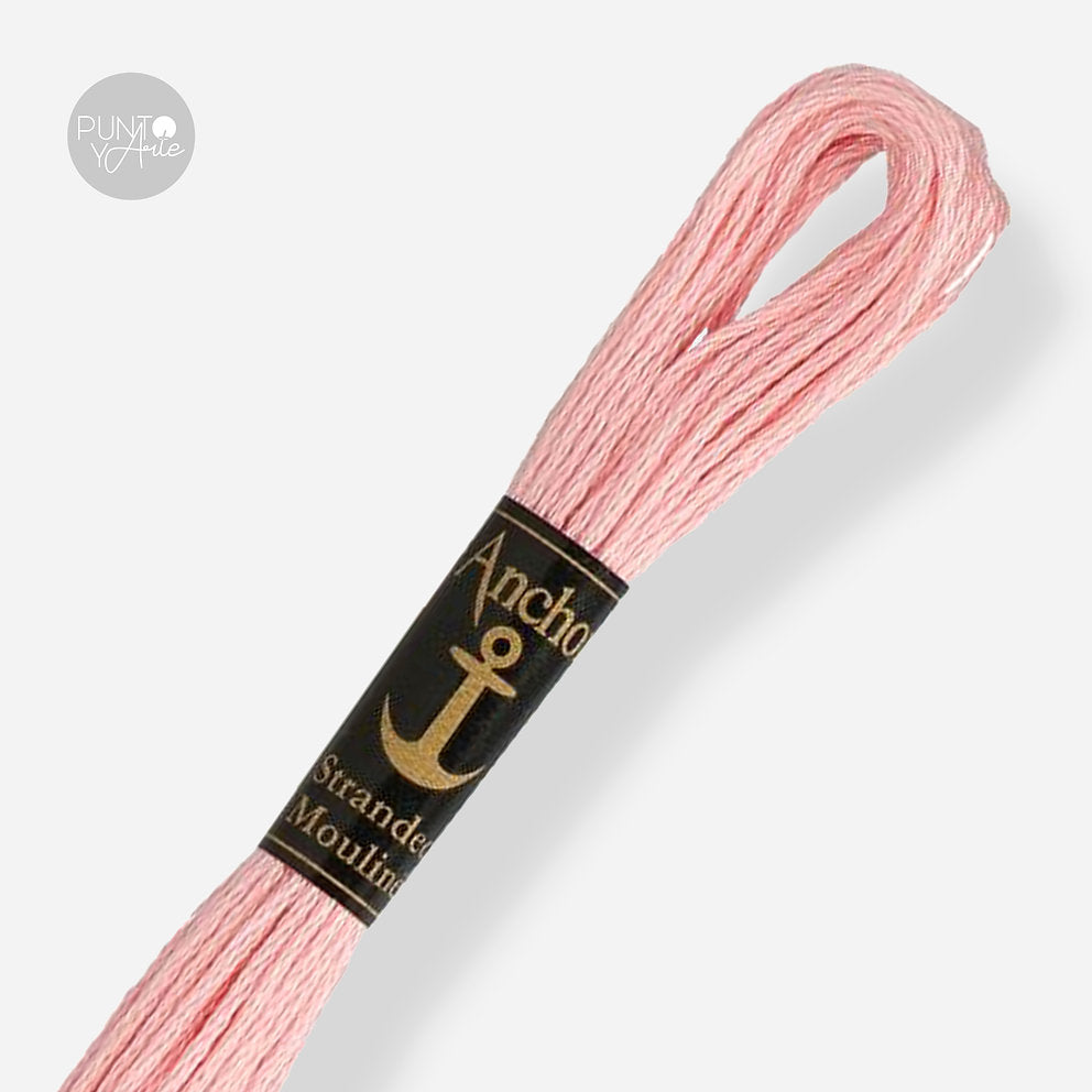 1021 Anchor Stranded Mouliné: Quality and Color for Your Embroidery