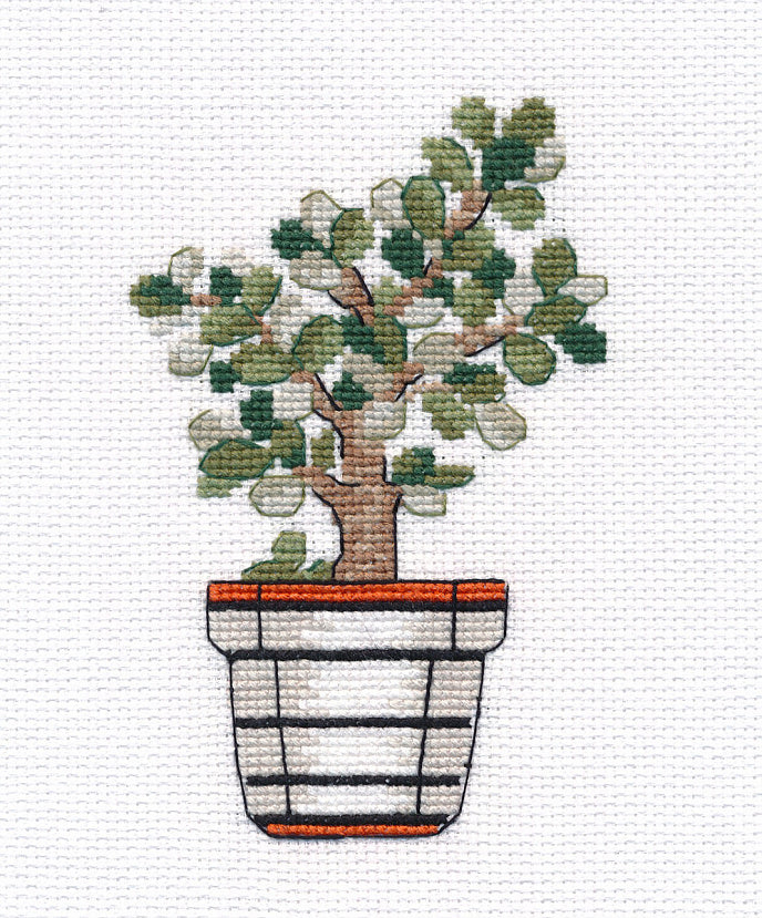 Crassula - 1488 OVEN - Kit de punto de cruz