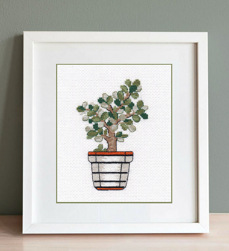 Crassula - 1488 OVEN - Kit de punto de cruz