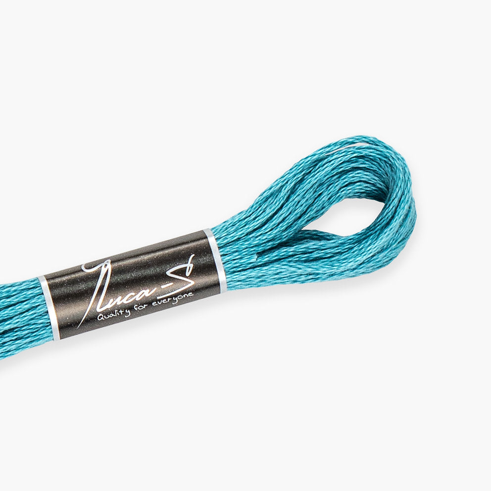 DMC 3810 / 164 threads mouline Luca-S