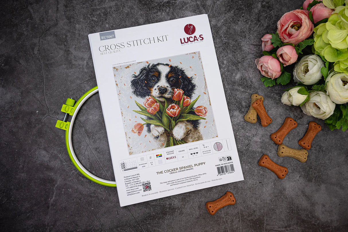 Kit de punto de cruz Luca-S - Cachorro de Cocker Spaniel, BU5067