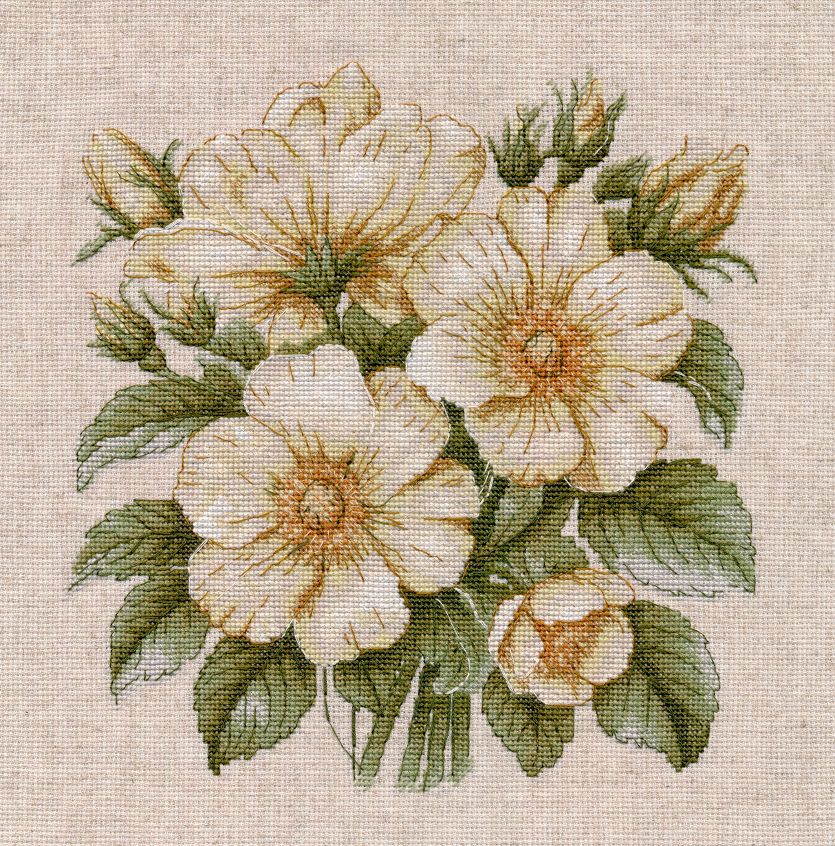 Kit de punto de cruz Oven S1731 Wild Rose Hips con rosas silvestres blancas, capullos y hojas verdes bordado sobre lino.