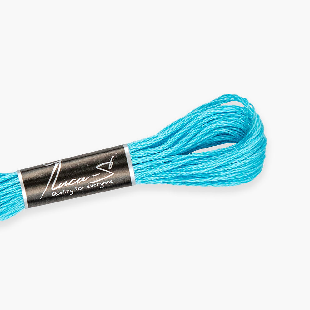 DMC 3846 / 208 Threads mouline Luca-S