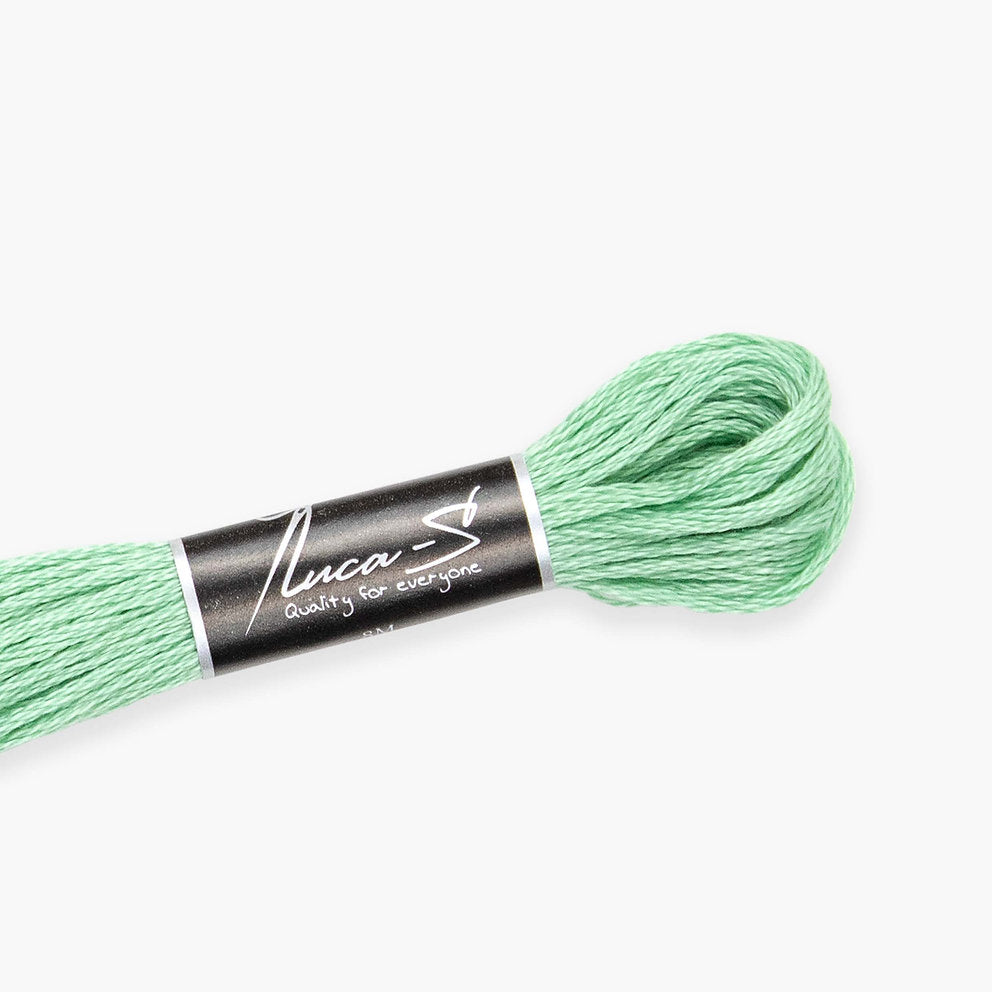 DMC 563 / 224 Threads mouline Luca-S