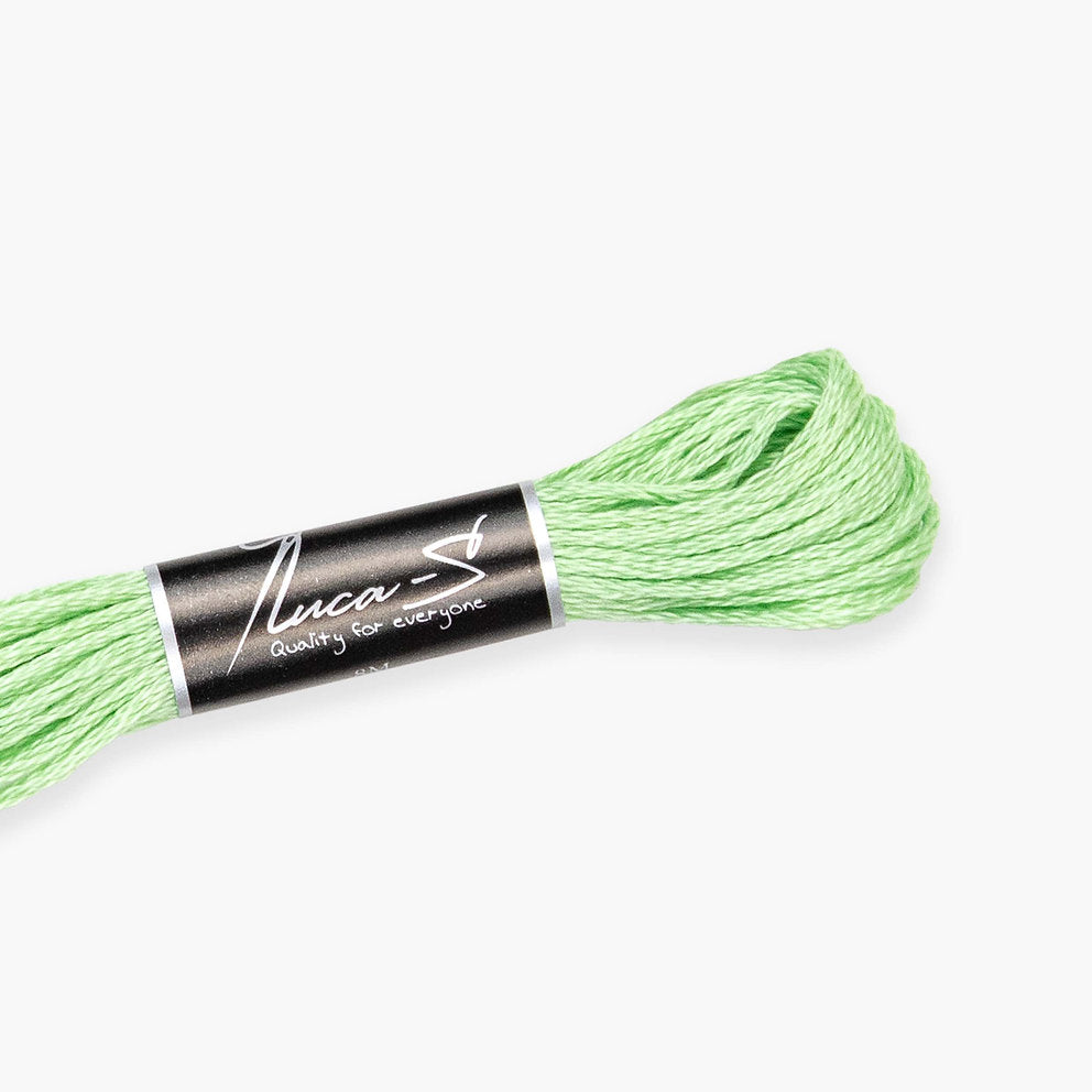 DMC 13 / 238 Threads mouline Luca-S