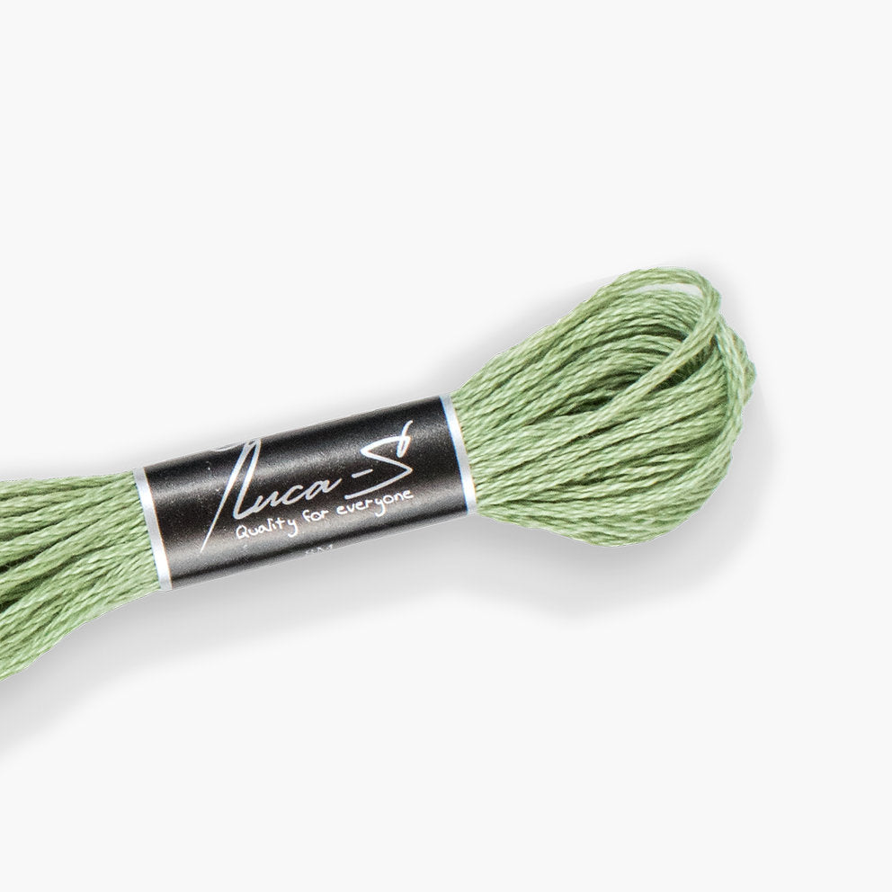 DMC 368 / 247 Threads mouline Luca-S