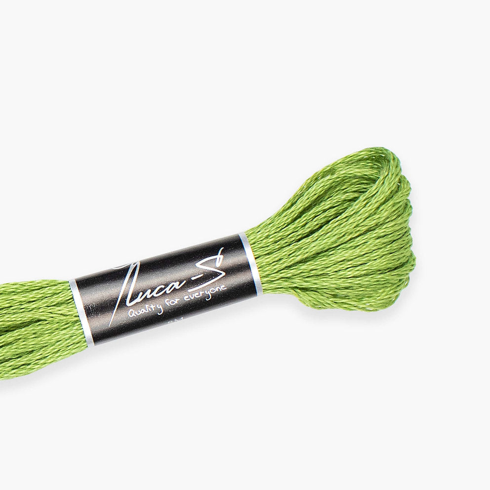 DMC 989 / 253 Threads mouline Luca-S