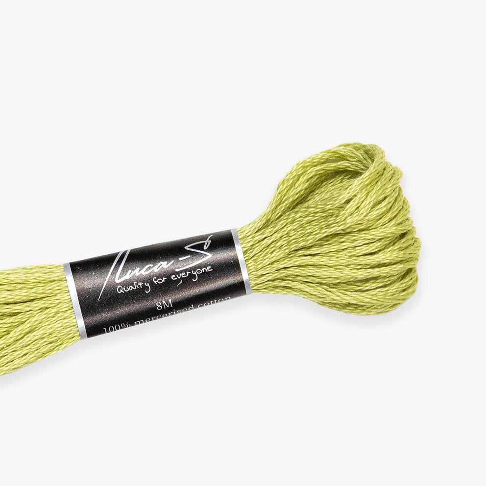DMC 3348 / 259 Fils mouline Luca-S