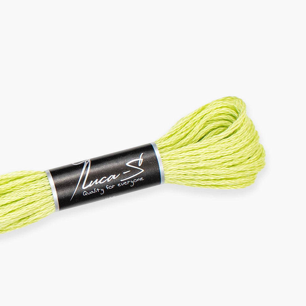 DMC 15 / 287 Threads mouline Luca-S