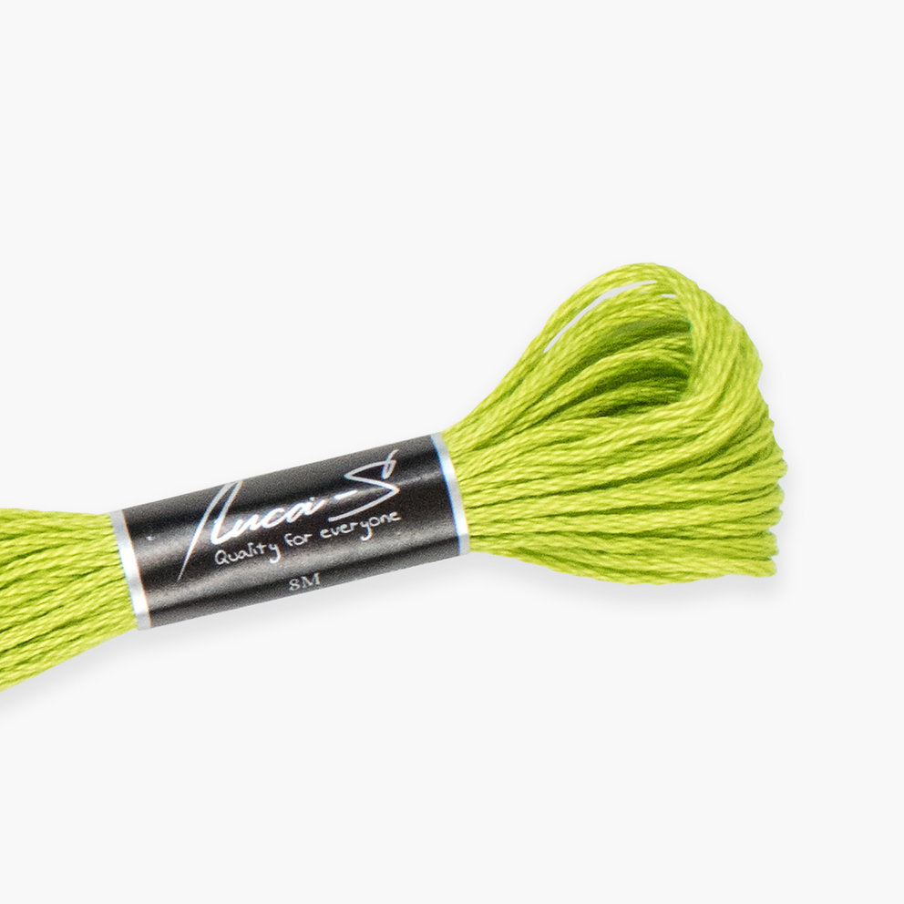 DMC 907 / 289 Threads mouline Luca-S