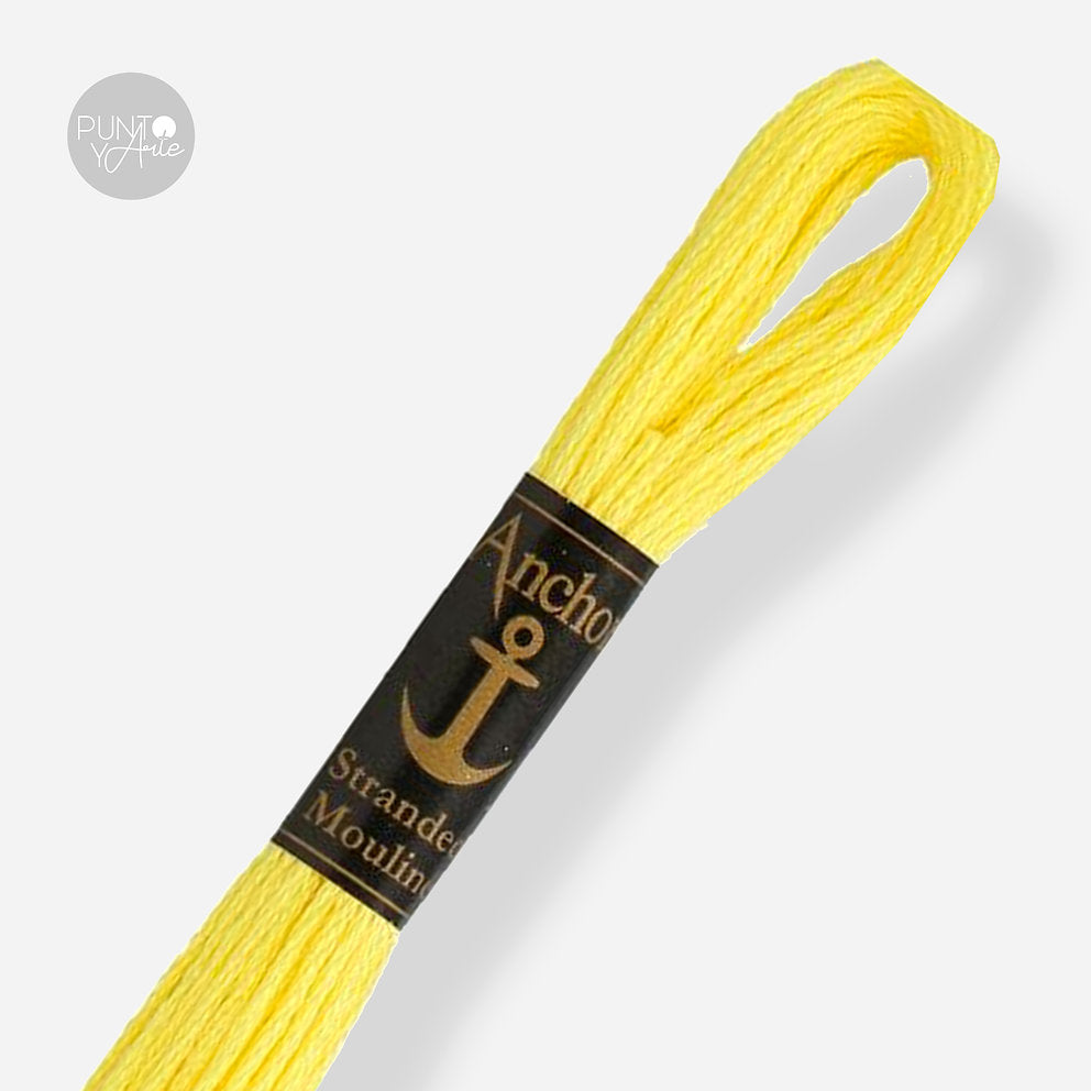 0289 Anchor Stranded Mouliné: Quality and Color for Your Embroidery