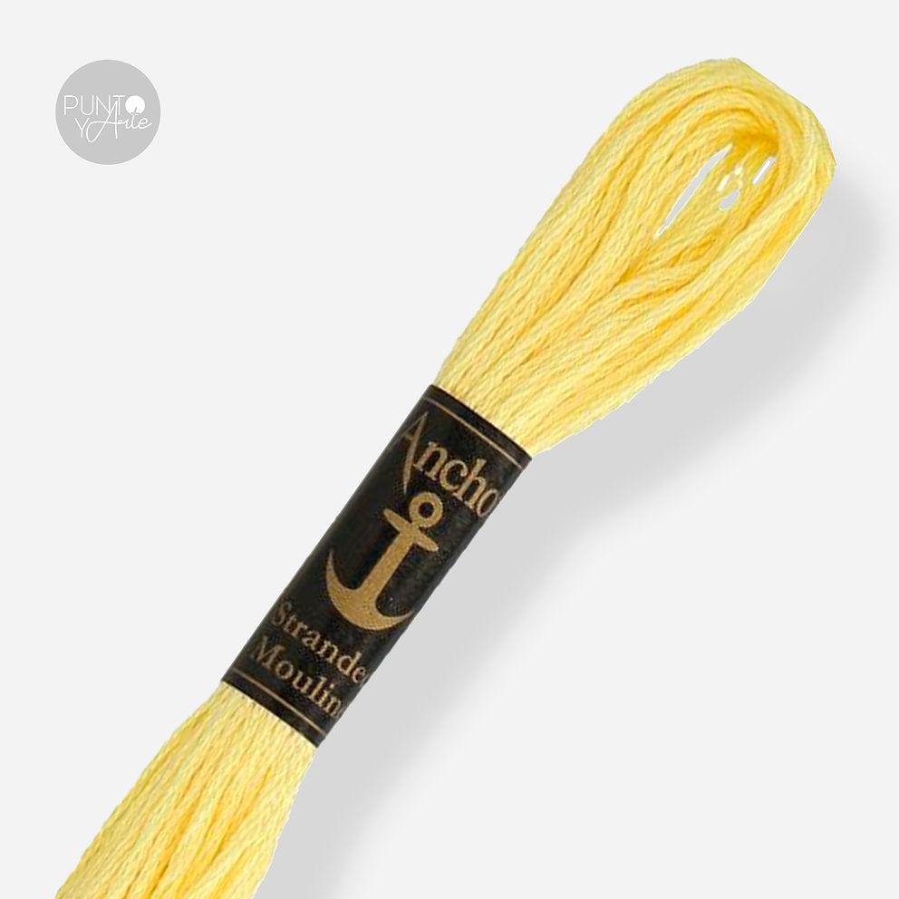 0293 Anchor Stranded Mouliné: Quality and Color for Your Embroidery