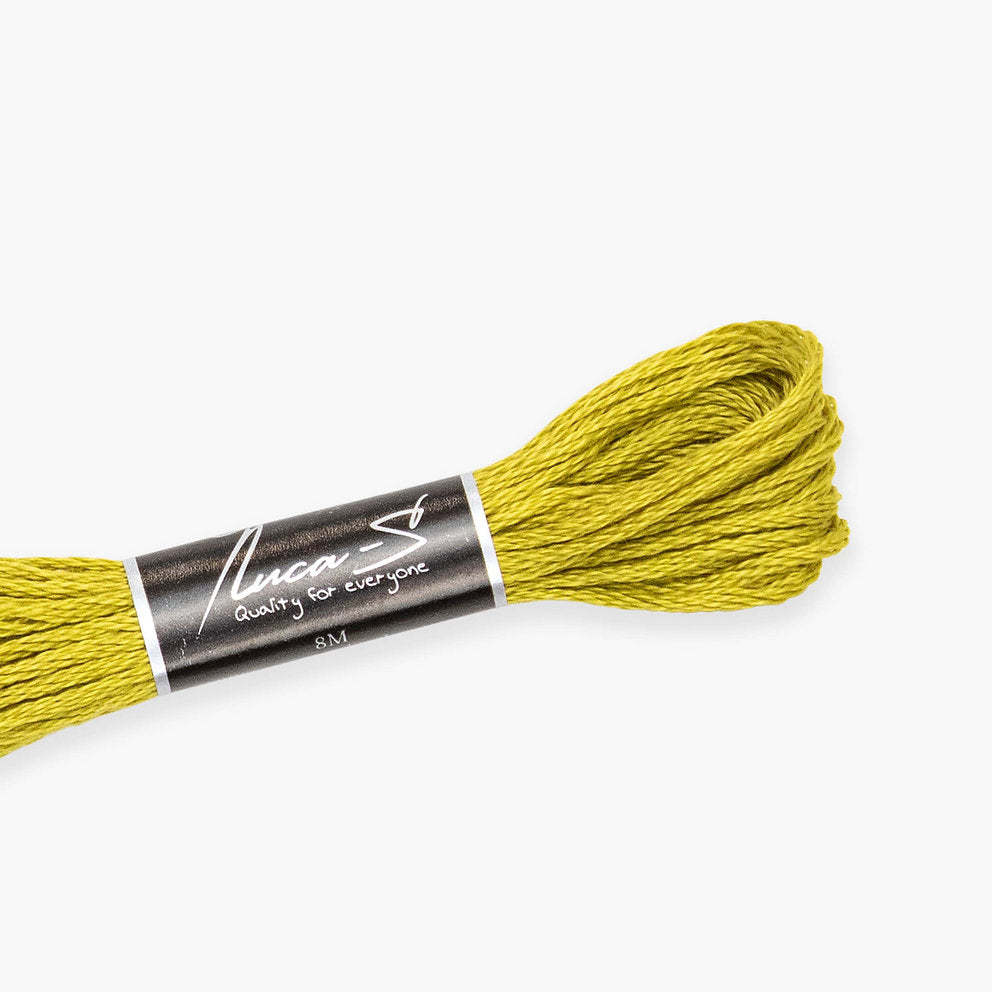 DMC 733 / 309 Threads mouline Luca-S