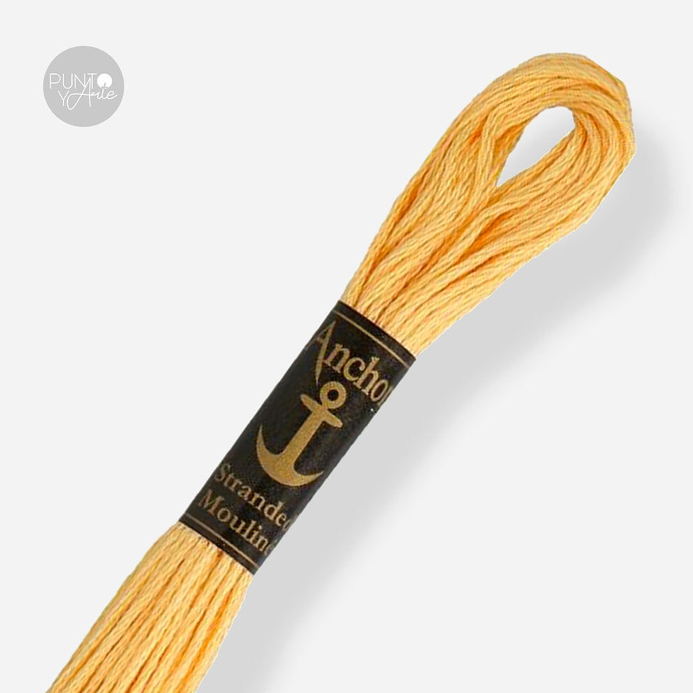 0311 Anchor Stranded Mouliné : Qualité et couleur pour votre broderie