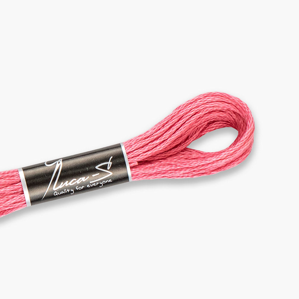 DMC 899 / 33 threads mouline Luca-S