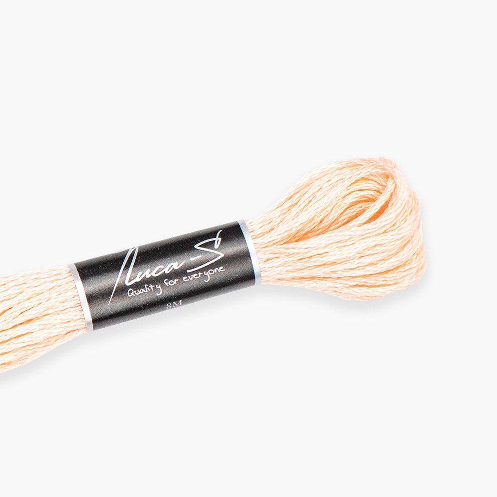 DMC 967 / 383 Threads mouline Luca-S