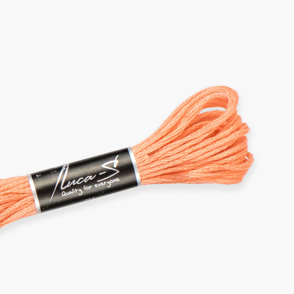 DMC 3341 / 385 Threads mouline Luca-S