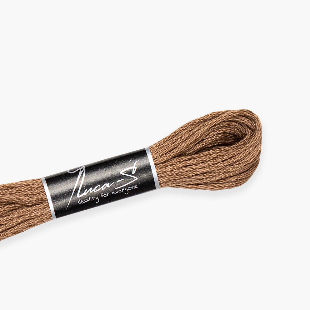 Fils de mouline DMC 3862 / 477 Luca-S