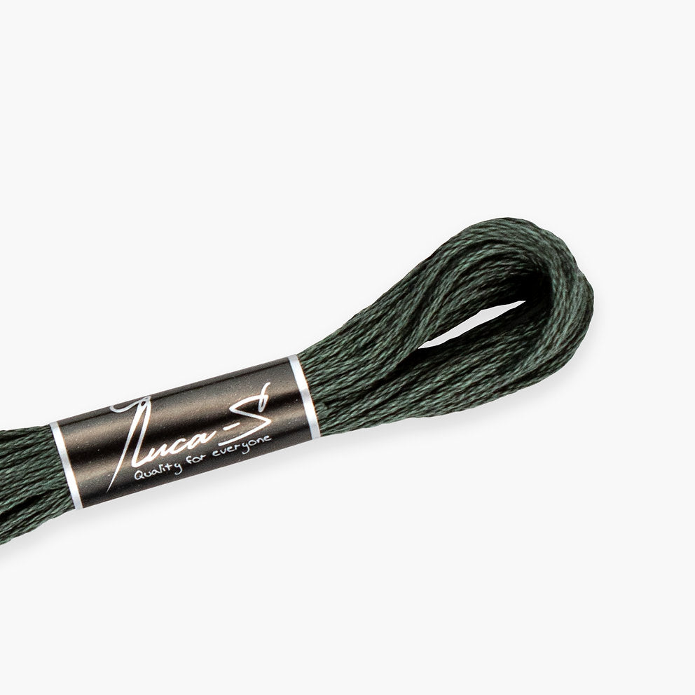 Fils de mouline DMC 3787 / 488 Luca-S