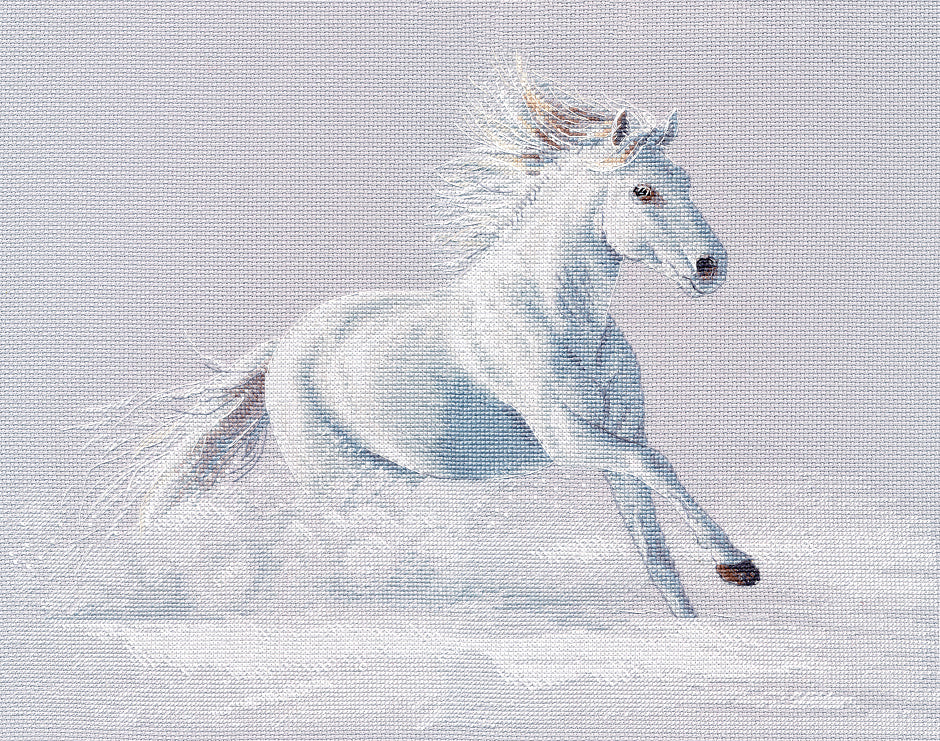 Kit de Punto de Cruz "Gracia en movimiento" S1668