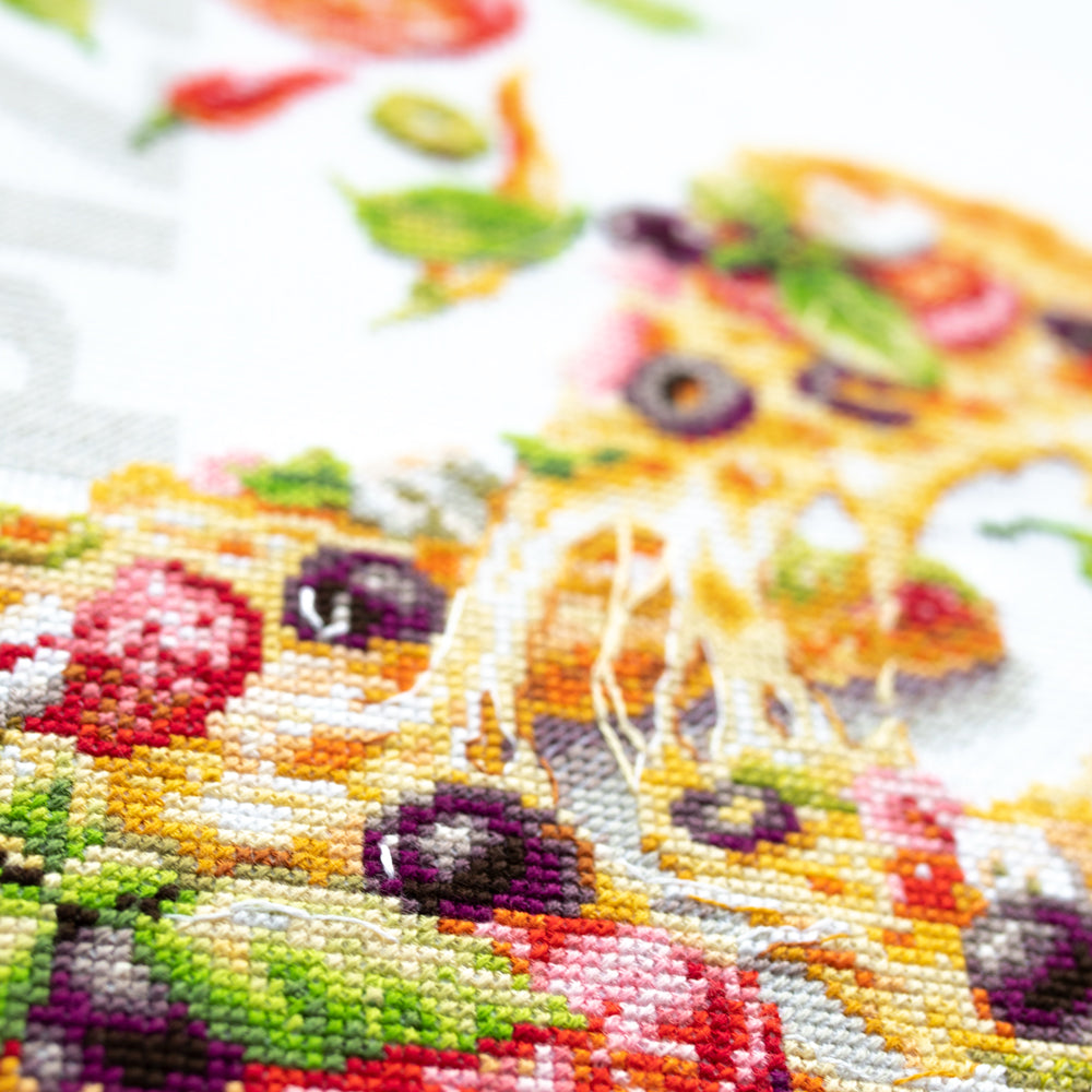 Magic Needle Cross Stitch Kit - Pizza 528-557