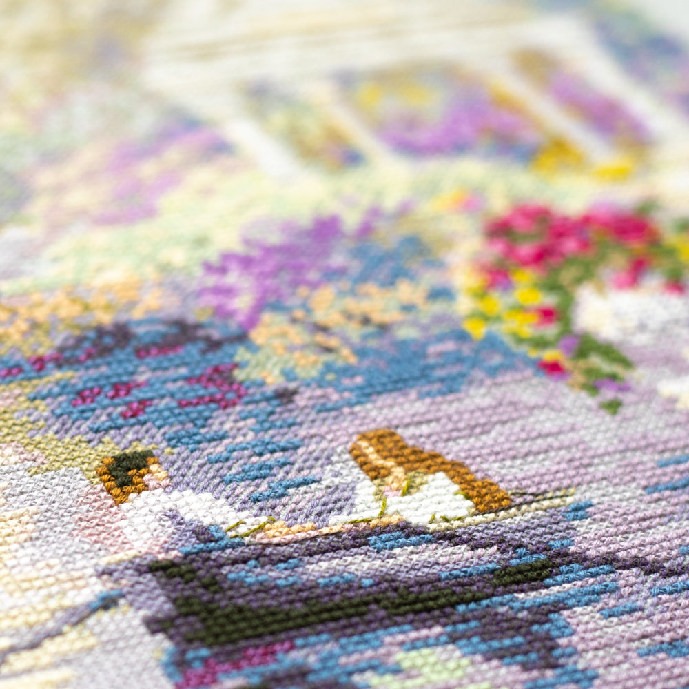 Rêve incroyable. Kit point de croix aiguille magique 550-765