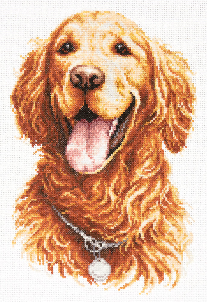 59-24 Golden Retrievers. Kit point de croix aiguille magique