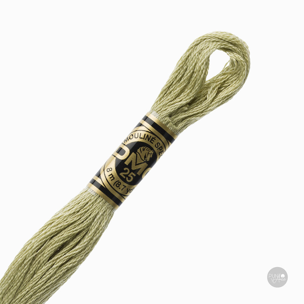 3013 Fil à broder DMC Mouliné Spécial 117MC 8 mètres
