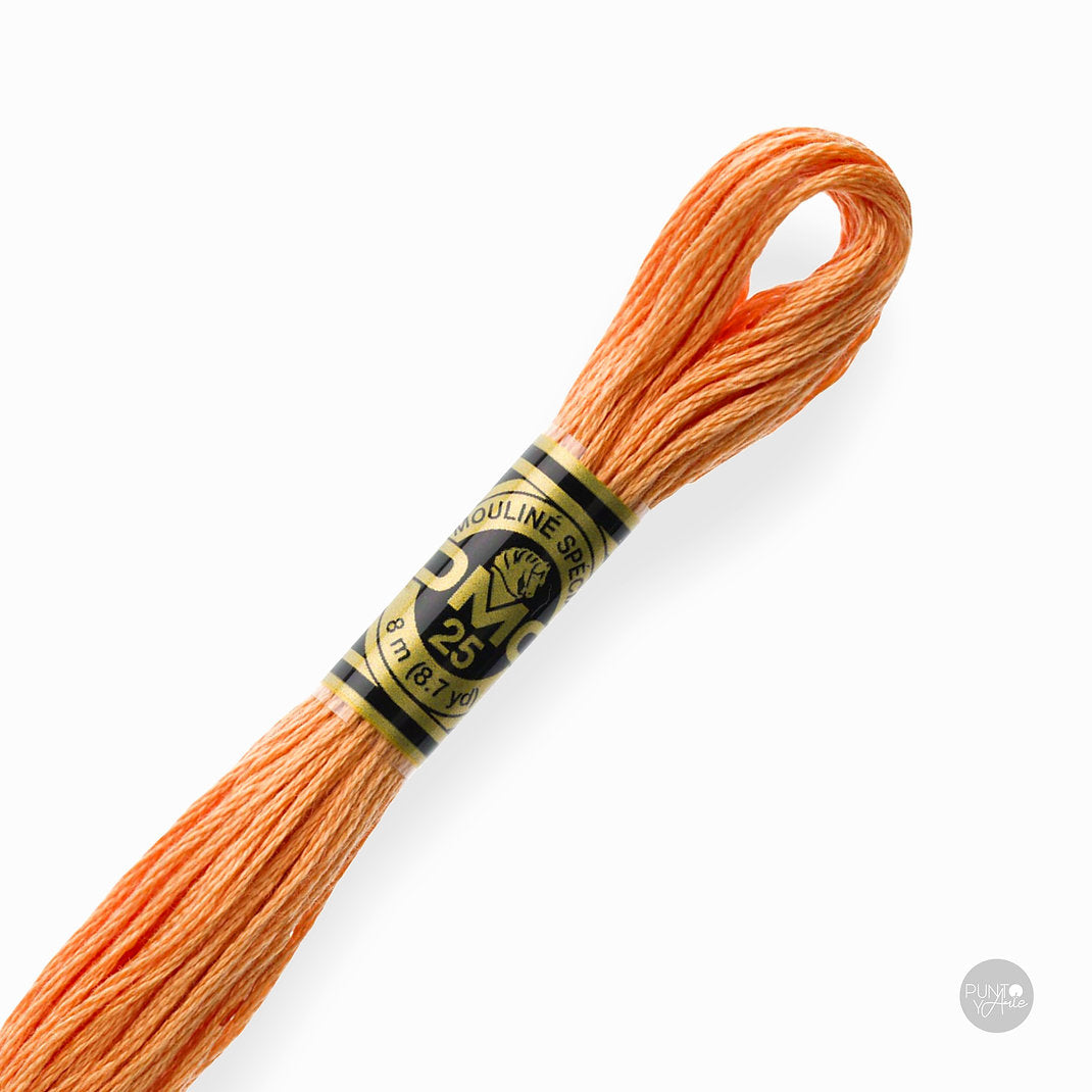 402 Hilo de bordado DMC Mouliné Spécial 117MC de 8 metros