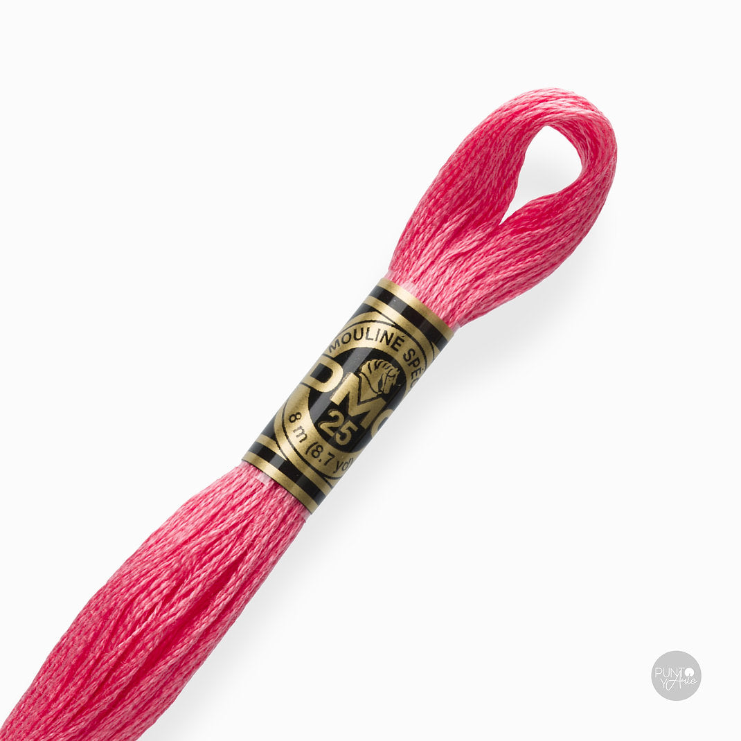 893 Hilo de bordado DMC Mouliné Spécial 117MC de 8 metros