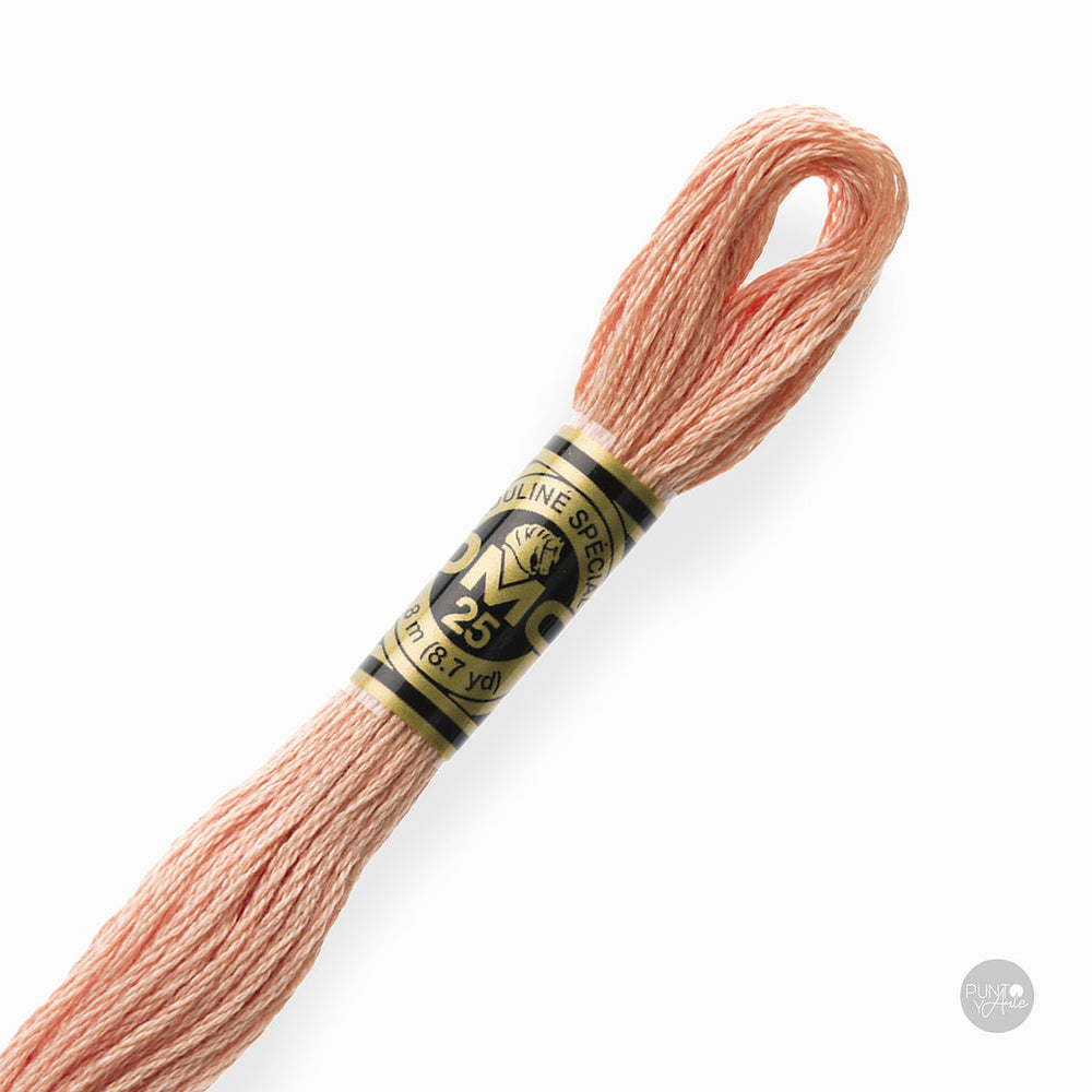 3771 DMC Embroidery Thread Mouliné Spécial 117MC 8 meters