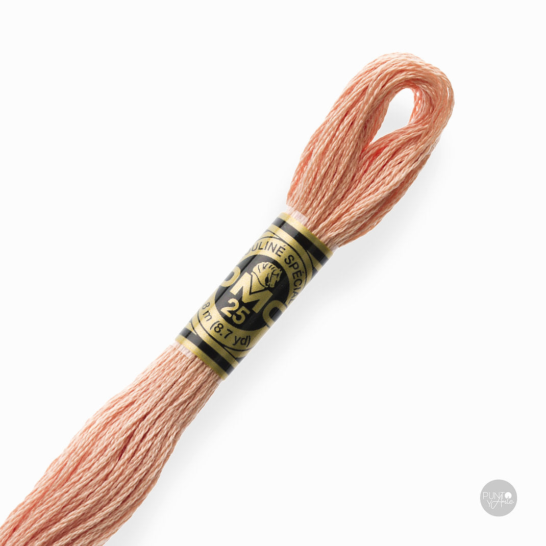 3771 DMC Embroidery Thread Mouliné Spécial 117MC 8 meters