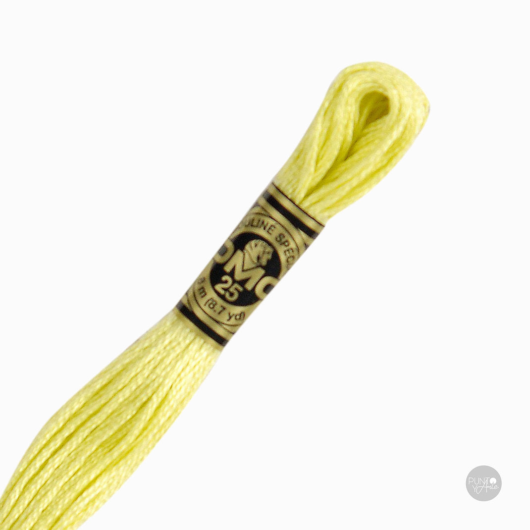 11 DMC Embroidery Thread Mouliné Spécial 117MC 8 meters