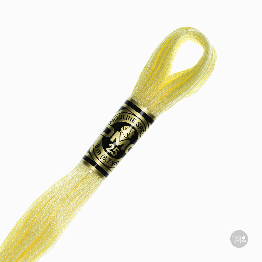 3078 DMC Embroidery Thread Mouliné Spécial 117MC 8 meters