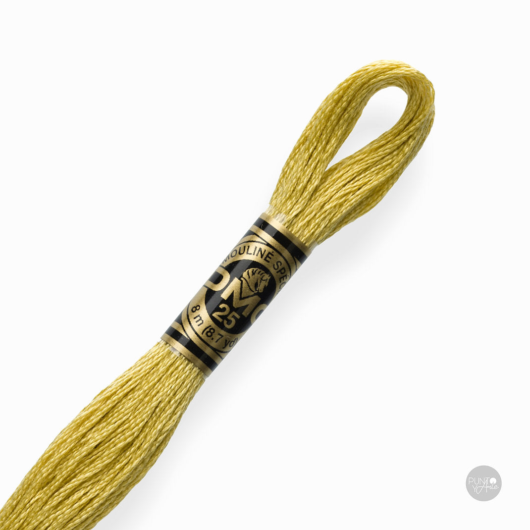 834 DMC Embroidery Thread Mouliné Spécial 117MC 8 meters