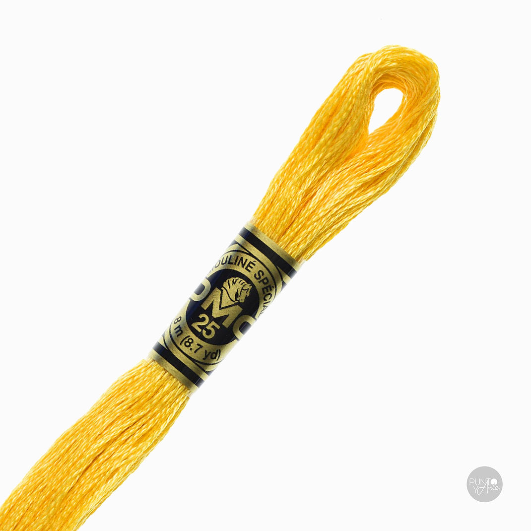 725 Fil à broder DMC Mouliné Spécial 117MC 8 mètres