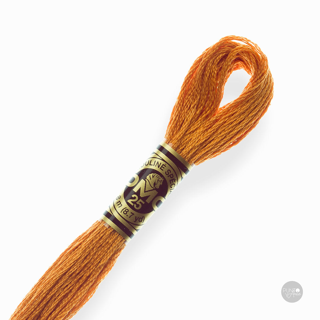 976 DMC Embroidery Thread Mouliné Spécial 117MC 8 meters