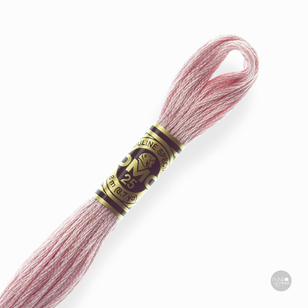 778 Hilo de bordado DMC Mouliné Spécial 117MC de 8 metros