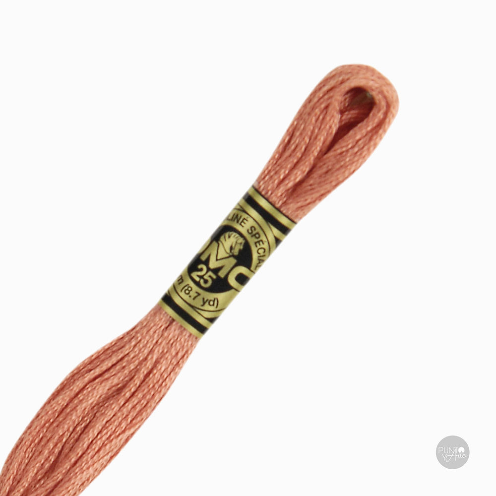 21 Hilo de bordado DMC Mouliné Spécial 117MC de 8 metros