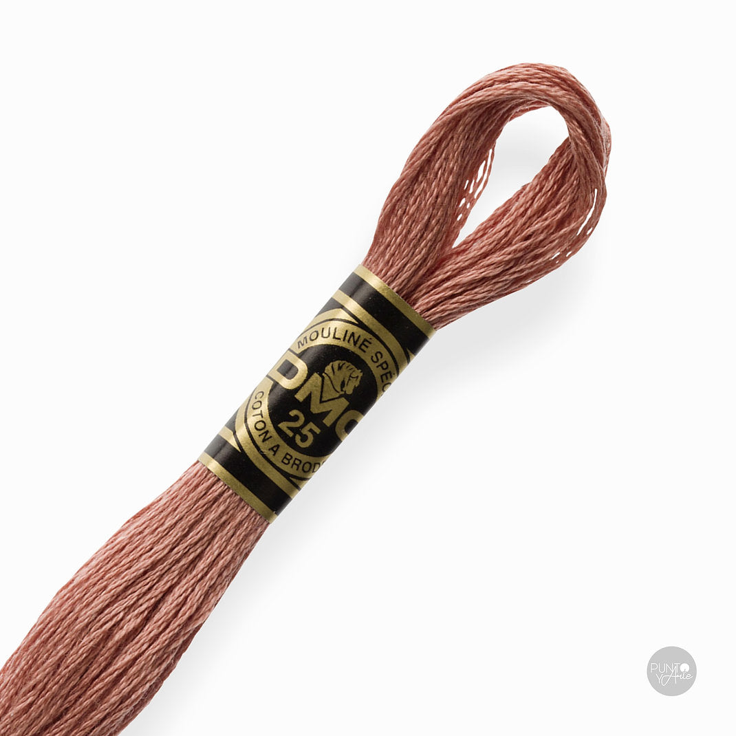 3859 Hilo de bordado DMC Mouliné Spécial 117MC de 8 metros
