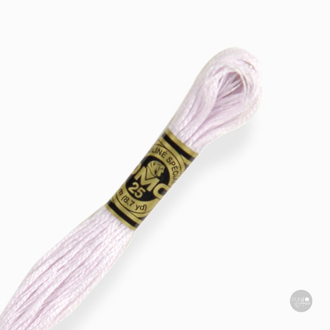 24 DMC Embroidery Thread Mouliné Spécial 117MC 8 meters