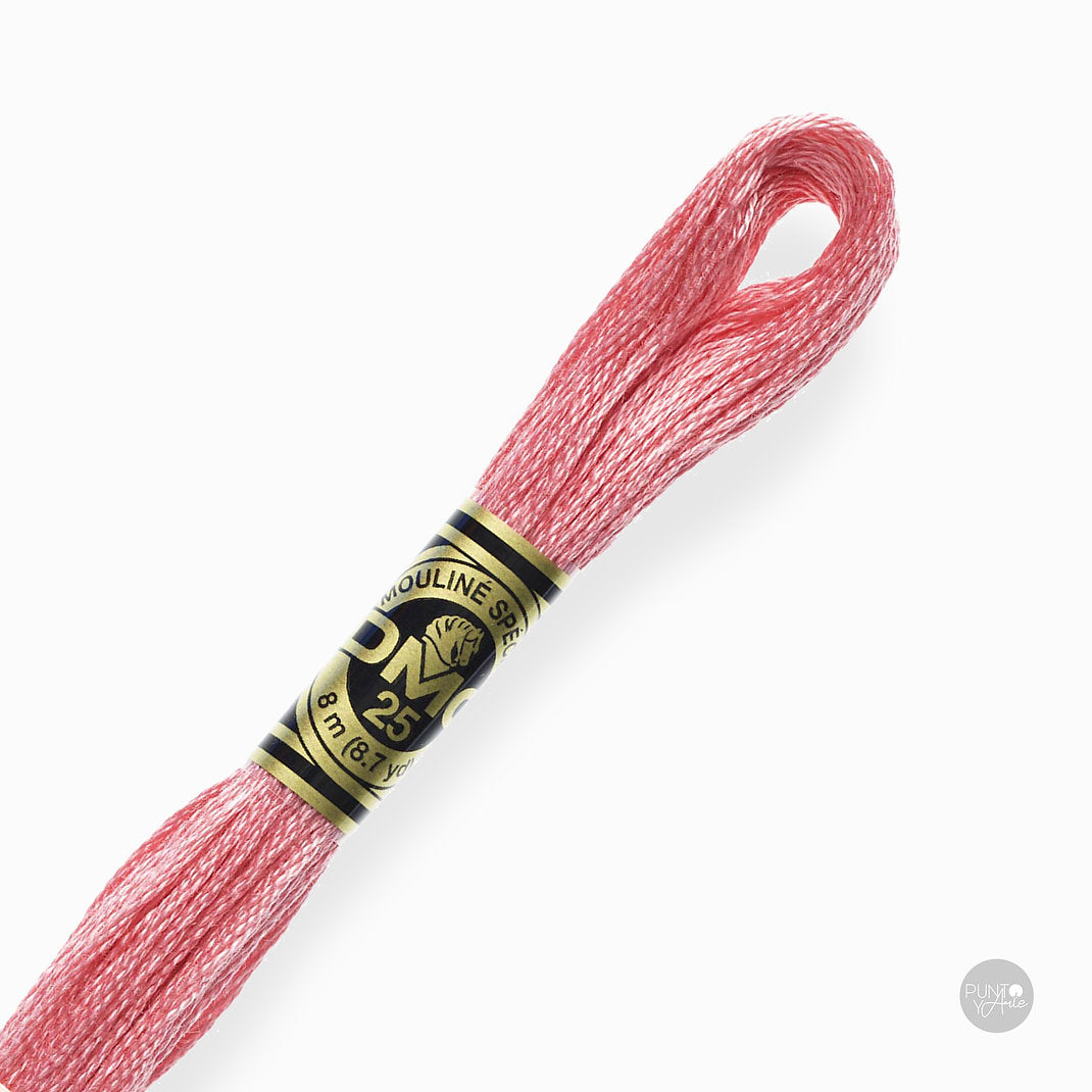 899 Hilo de bordado DMC Mouliné Spécial 117MC de 8 metros