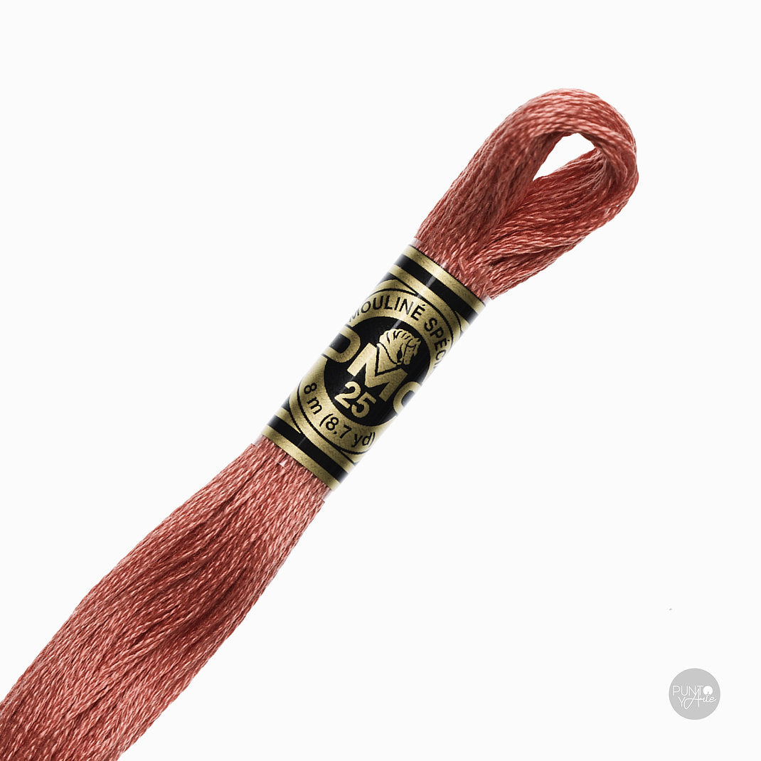3328 Hilo de bordado DMC Mouliné Spécial 117MC de 8 metros