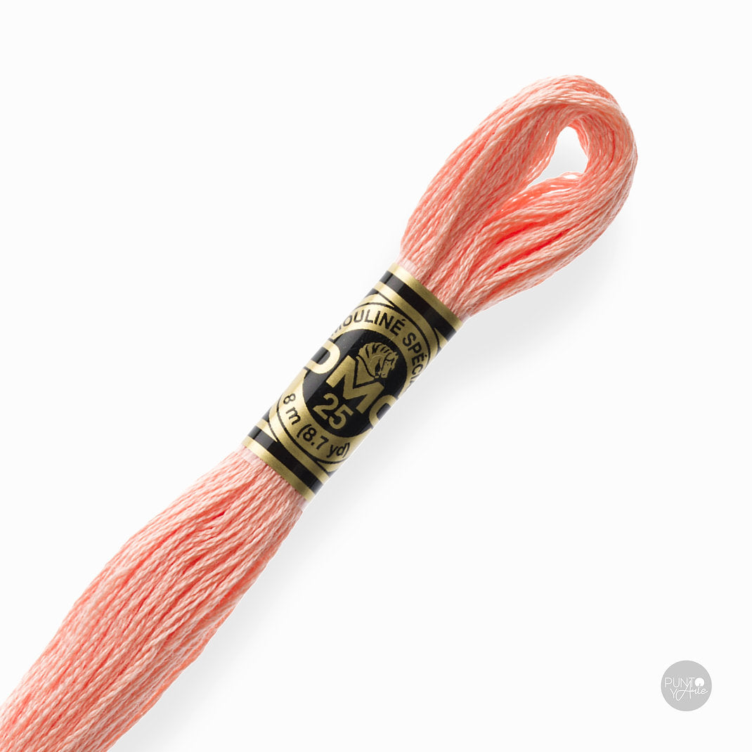 3824 DMC Embroidery Thread Mouliné Spécial 117MC 8 meters