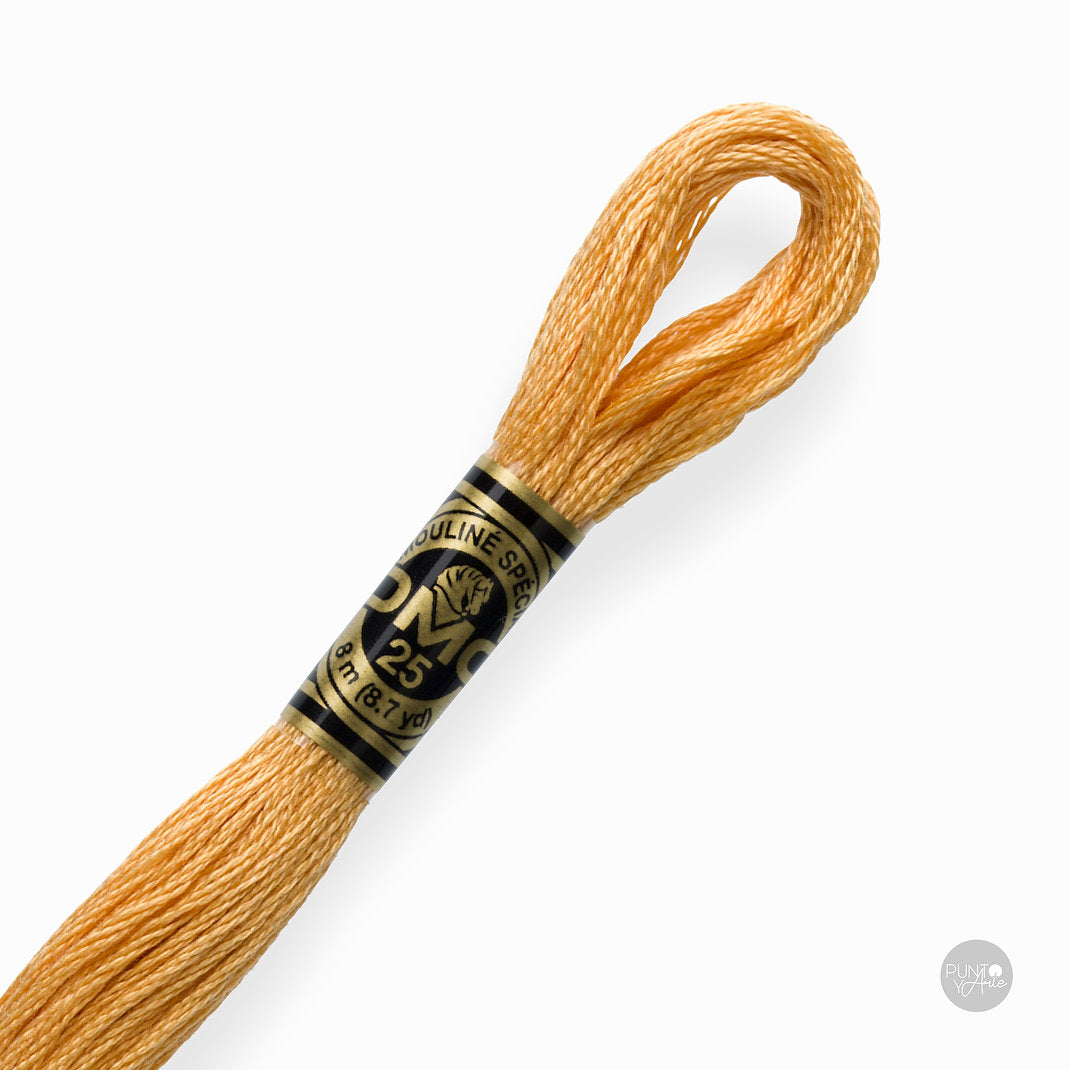 3827 Hilo de bordado DMC Mouliné Spécial 117MC de 8 metros