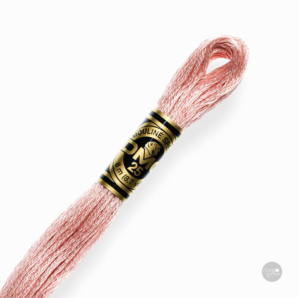 224 Hilo de bordado DMC Mouliné Spécial 117MC de 8 metros