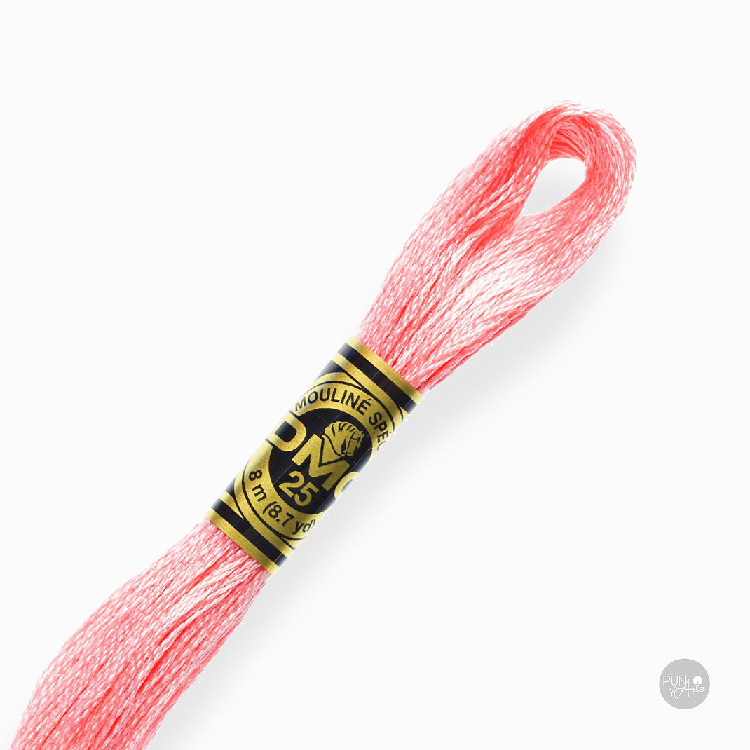 894 Hilo de bordado DMC Mouliné Spécial 117MC de 8 metros