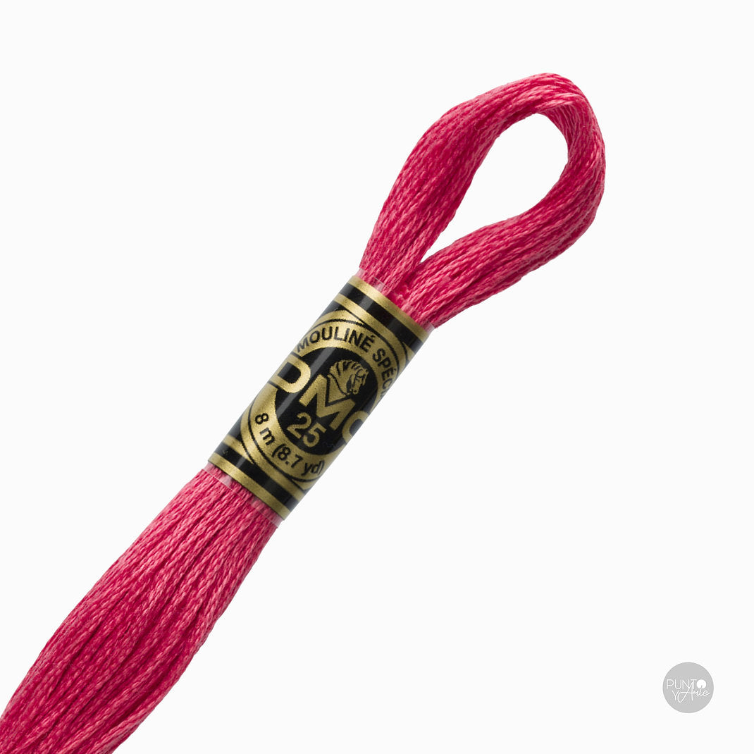 3832 Hilo de bordado DMC Mouliné Spécial 117MC de 8 metros