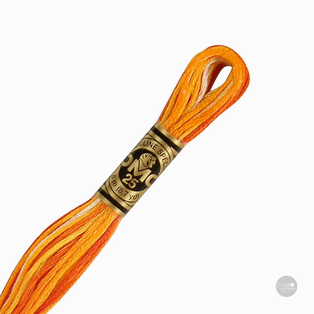 51 Hilo de bordado DMC Mouliné Spécial 117MC de 8 metros